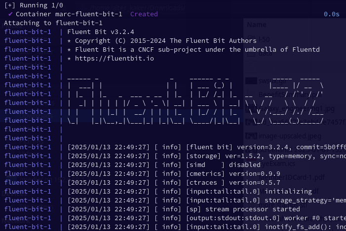 The console output for starting the Fluent Bit container is showing various helpful info logs and an ASCII Art banner that says Fluent Bit v3.2 in outline